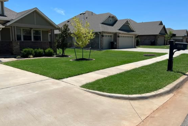 Clean mowed lawn with crisp edges